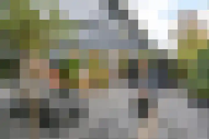Dambeern 29 Odoorn thumbnail 75