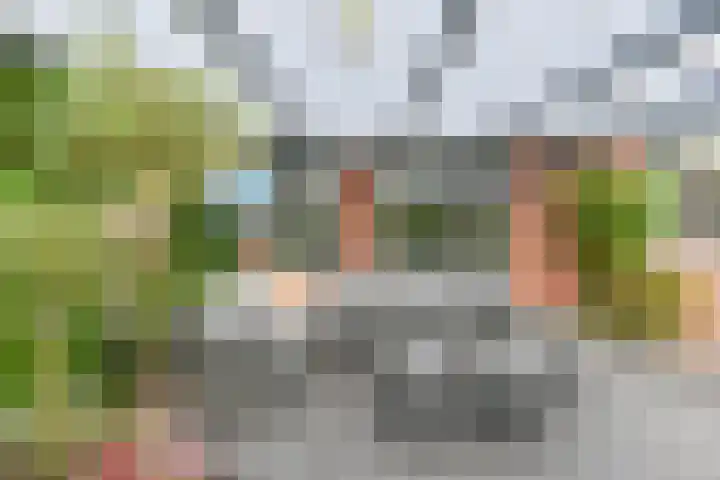 Dambeern 29 Odoorn thumbnail 76