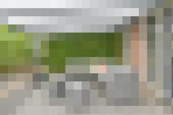 Dambeern 29 Odoorn thumbnail 77