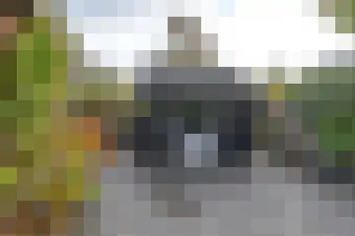 Dambeern 29 Odoorn thumbnail 79