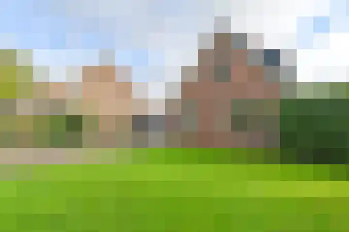Dambeern 29 Odoorn thumbnail 8