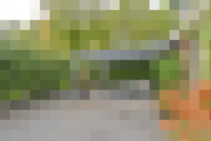 Dambeern 29 Odoorn thumbnail 80
