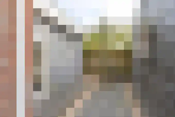 Dambeern 29 Odoorn thumbnail 81