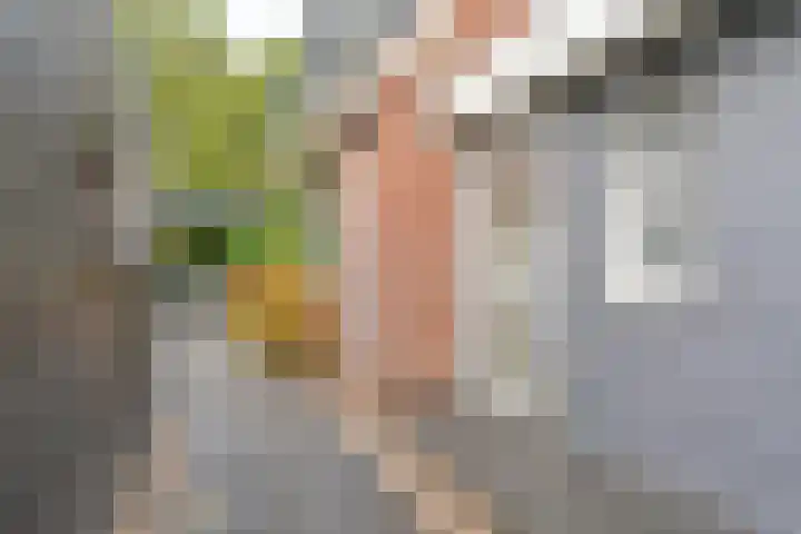 Dambeern 29 Odoorn thumbnail 82