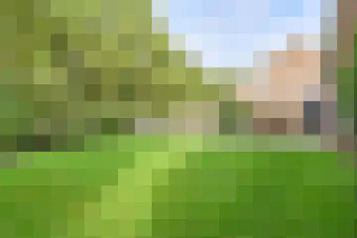 Dambeern 29 Odoorn thumbnail 9