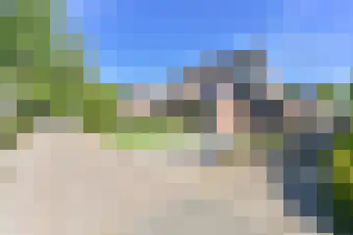 Dambeern 45 Odoorn thumbnail 10