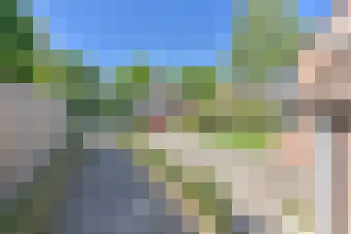 Dambeern 45 Odoorn thumbnail 11