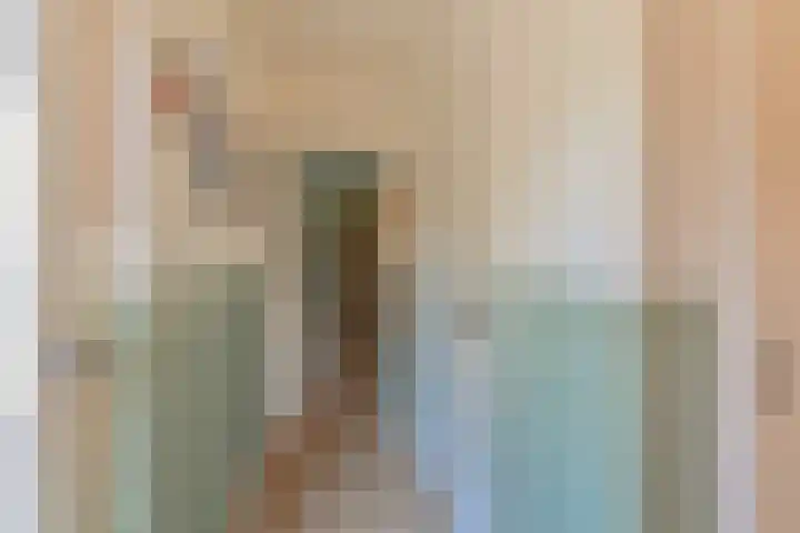Dambeern 45 Odoorn thumbnail 14