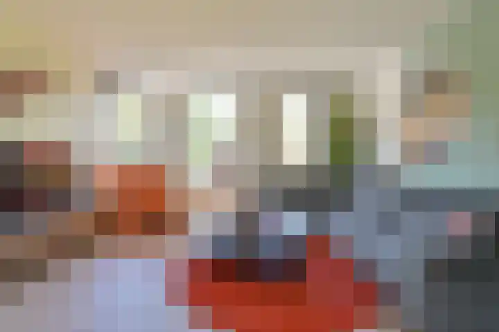 Dambeern 45 Odoorn thumbnail 18
