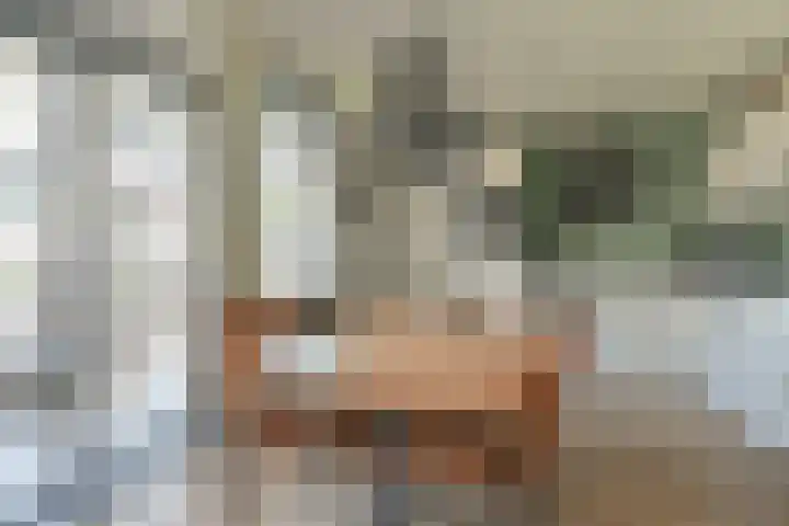 Dambeern 45 Odoorn thumbnail 25