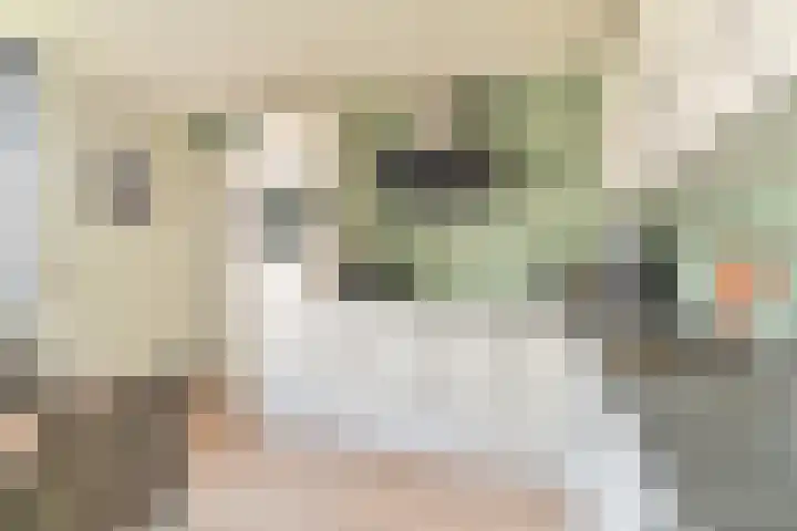 Dambeern 45 Odoorn thumbnail 27