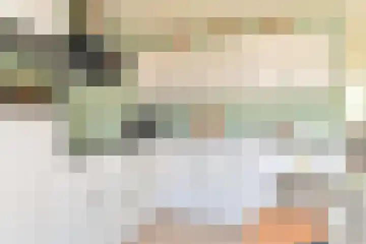 Dambeern 45 Odoorn thumbnail 28
