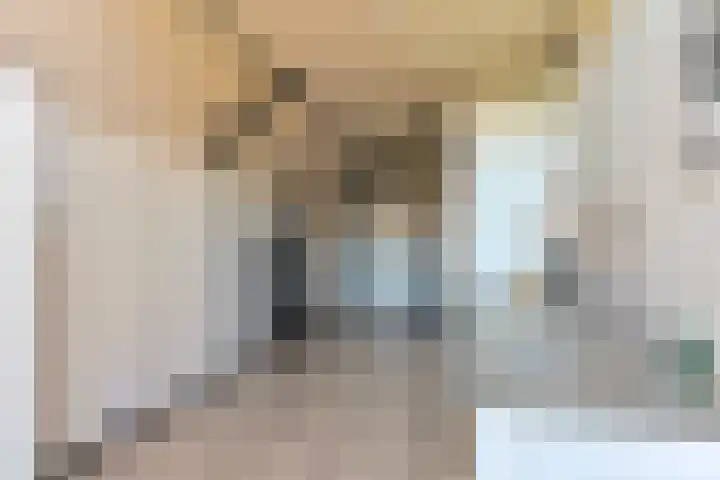 Dambeern 45 Odoorn thumbnail 31