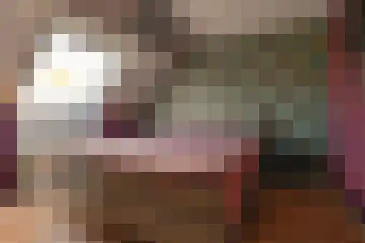 Dambeern 45 Odoorn thumbnail 37