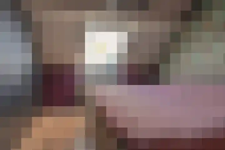 Dambeern 45 Odoorn thumbnail 39