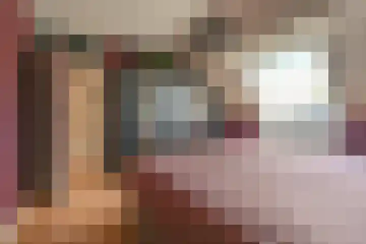 Dambeern 45 Odoorn thumbnail 41
