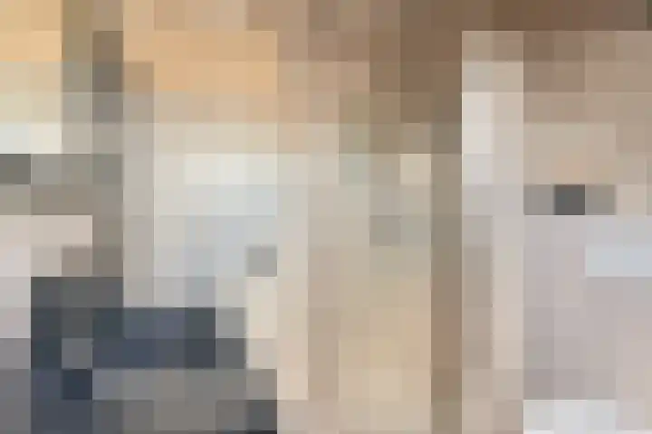 Dambeern 45 Odoorn thumbnail 44