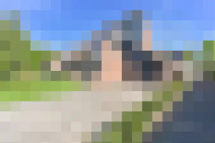 Dambeern 45 Odoorn thumbnail 5