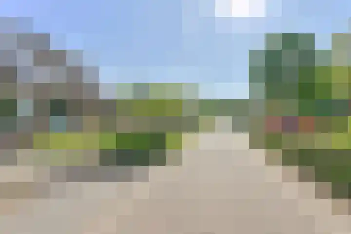 Dambeern 45 Odoorn thumbnail 6
