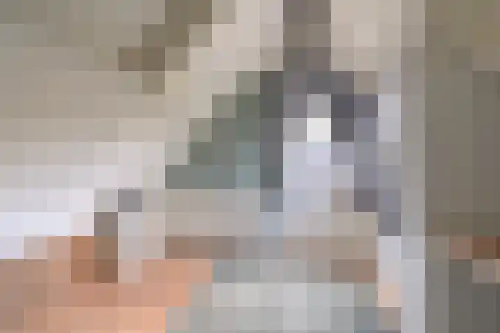 Dambeern 45 Odoorn thumbnail 60