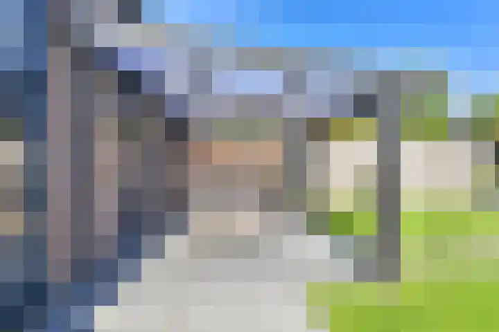 Dambeern 45 Odoorn thumbnail 64