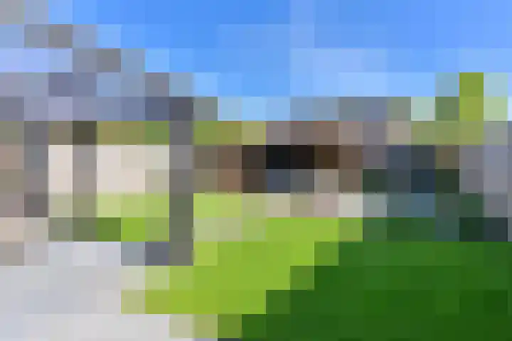 Dambeern 45 Odoorn thumbnail 65