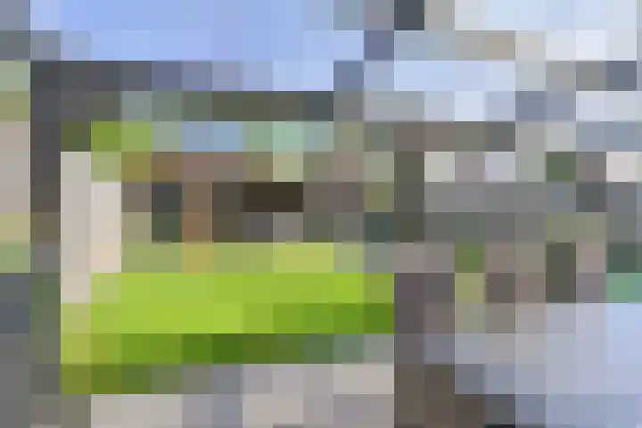 Dambeern 45 Odoorn thumbnail 66