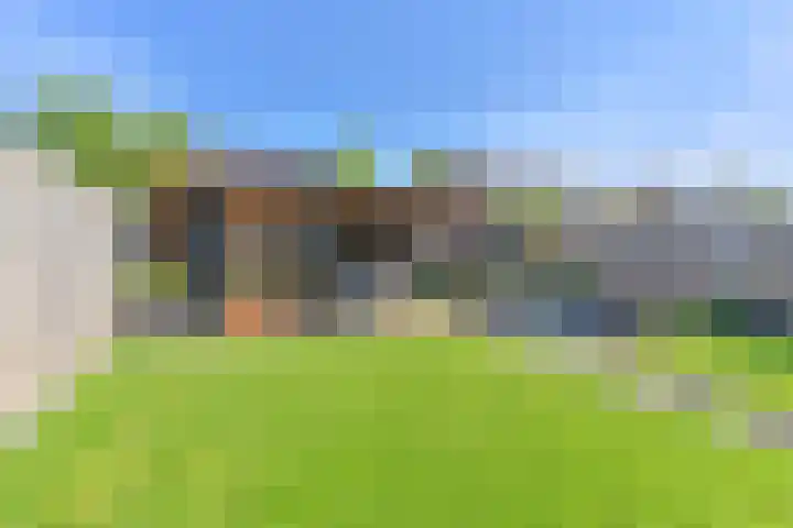 Dambeern 45 Odoorn thumbnail 67