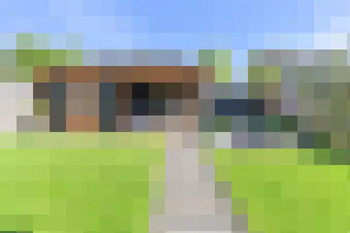 Dambeern 45 Odoorn thumbnail 69