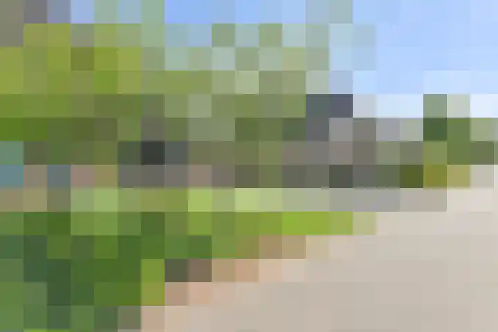 Dambeern 45 Odoorn thumbnail 7