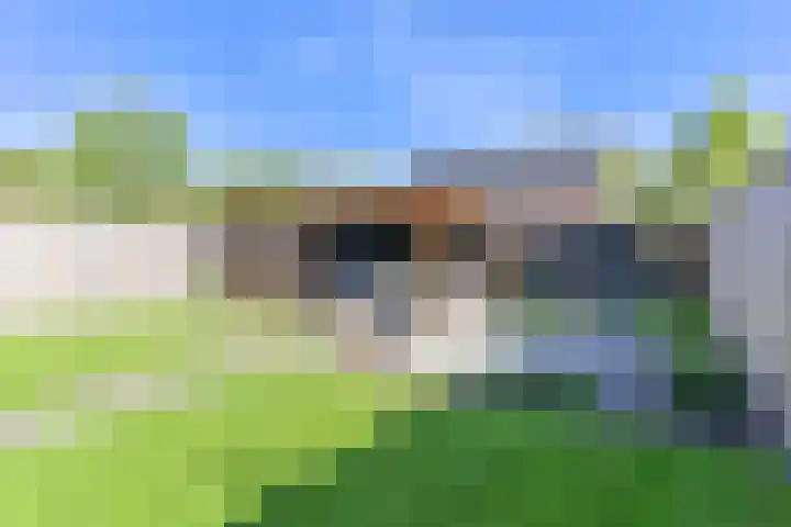 Dambeern 45 Odoorn thumbnail 70
