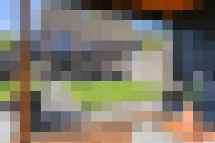 Dambeern 45 Odoorn thumbnail 72