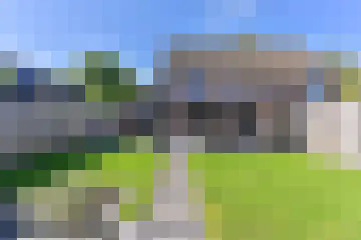Dambeern 45 Odoorn thumbnail 73