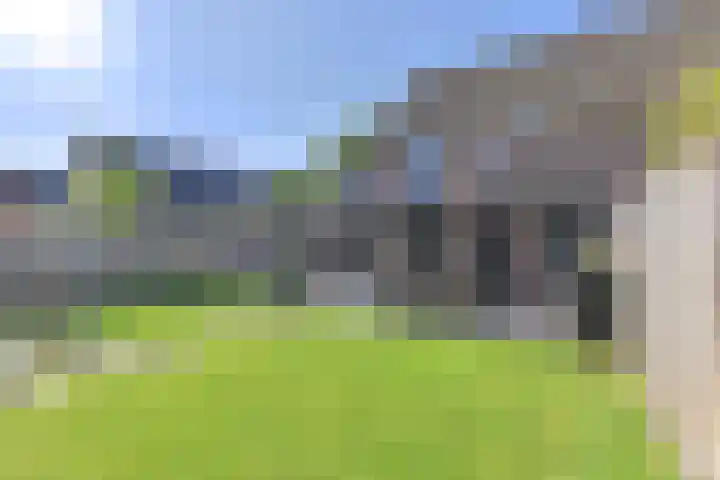 Dambeern 45 Odoorn thumbnail 74