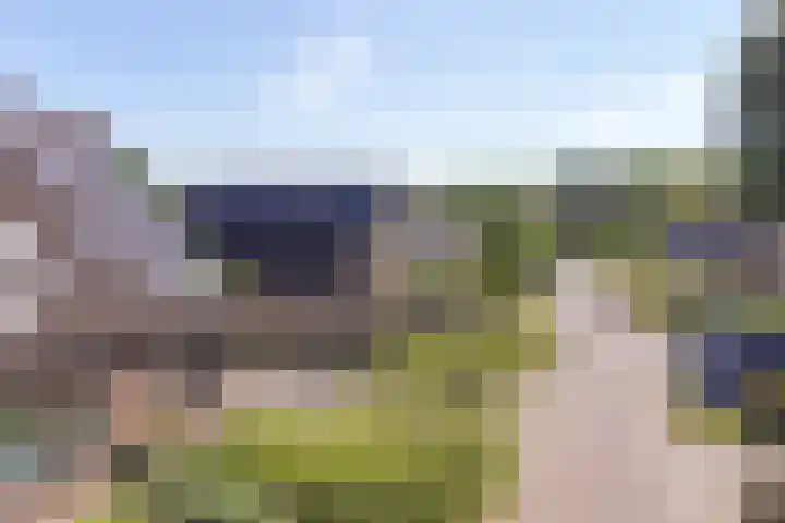 Dambeern 45 Odoorn thumbnail 75