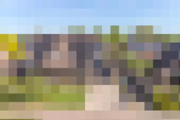 Dambeern 45 Odoorn thumbnail 76