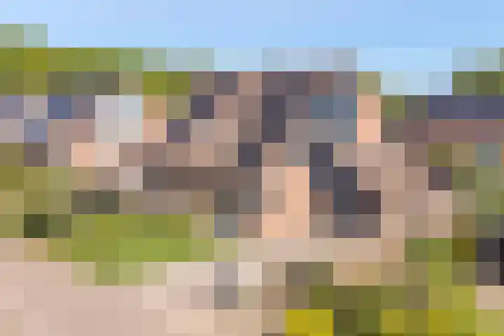 Dambeern 45 Odoorn thumbnail 77