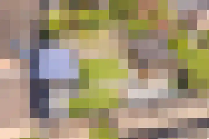 Dambeern 45 Odoorn thumbnail 79