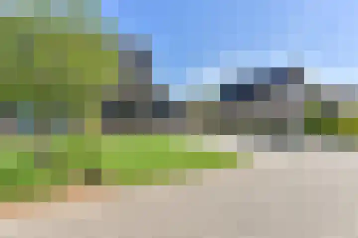 Dambeern 45 Odoorn thumbnail 8