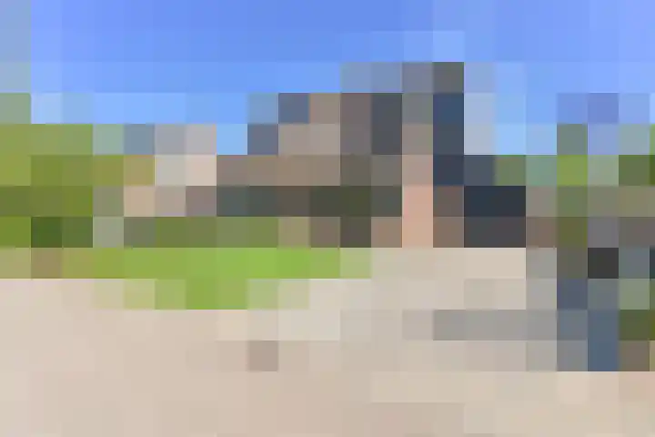 Dambeern 45 Odoorn thumbnail 9