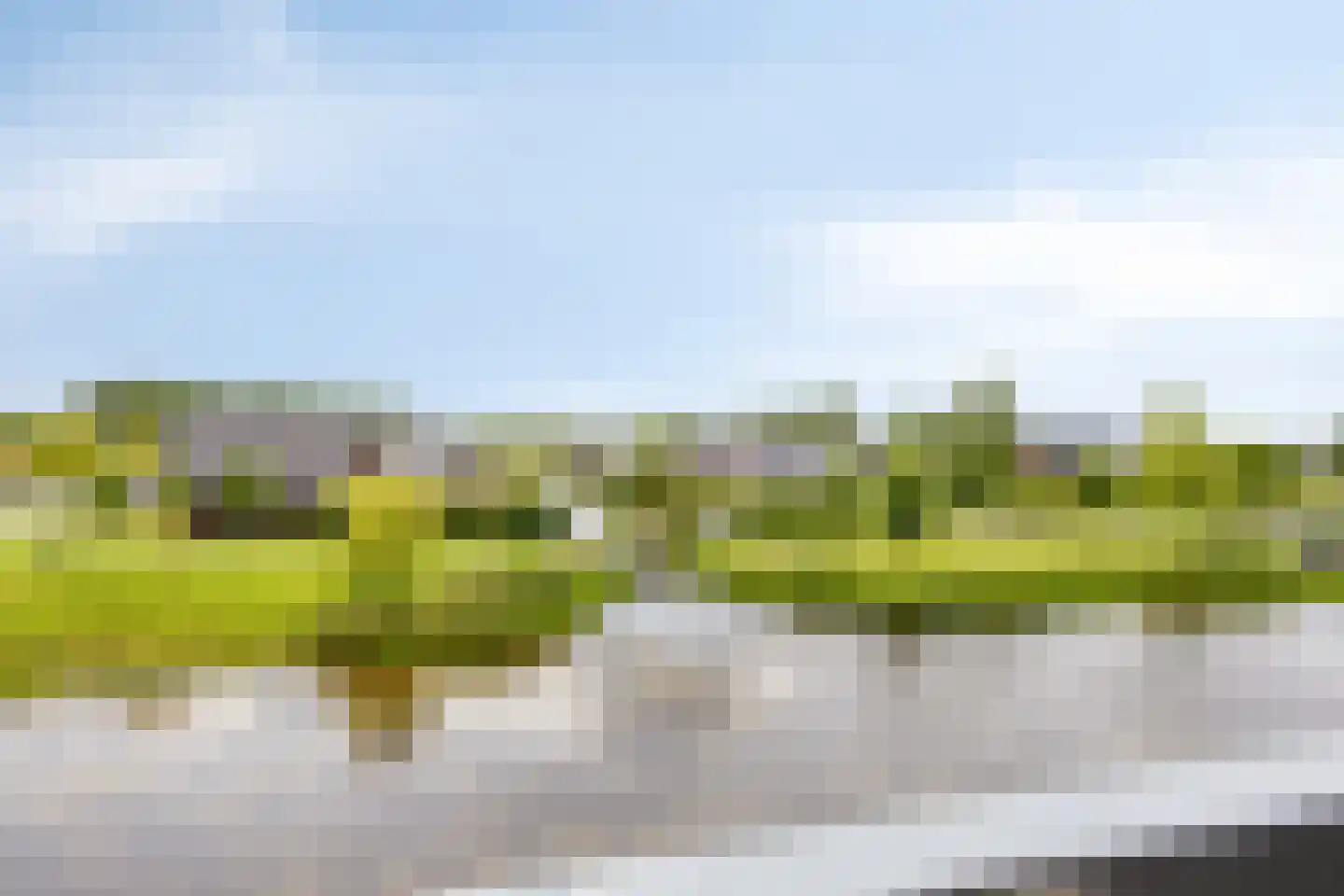 Dambordje 11 Wolvega thumbnail 6
