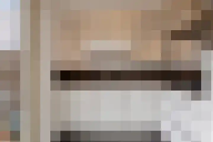 Dambordje 14 Breda thumbnail 14
