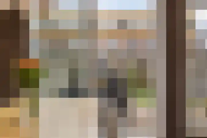 Dambordje 14 Breda thumbnail 15