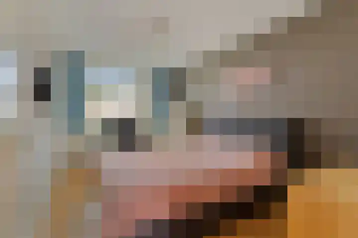 Dambordje 14 Breda thumbnail 17