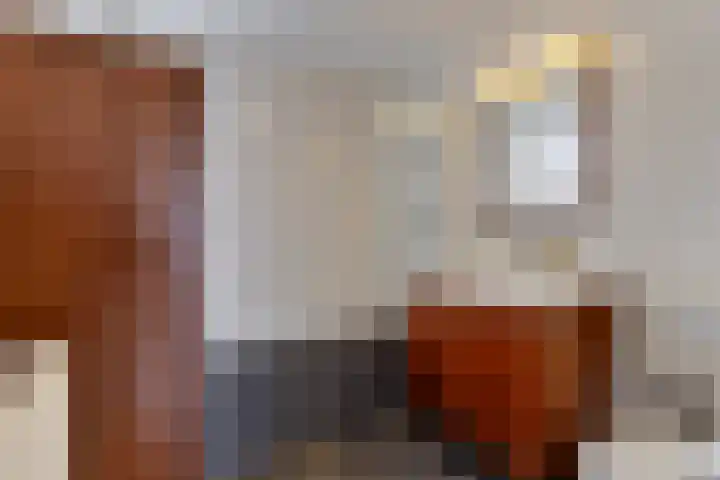 Dambordje 14 Breda thumbnail 22