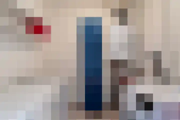 Dambordje 14 Breda thumbnail 24