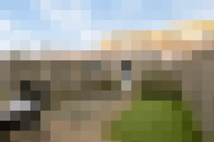 Dambordje 14 Breda thumbnail 25