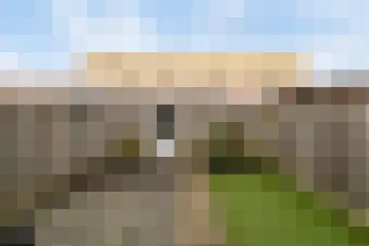 Dambordje 14 Breda thumbnail 26