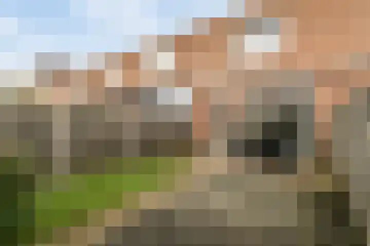 Dambordje 14 Breda thumbnail 27