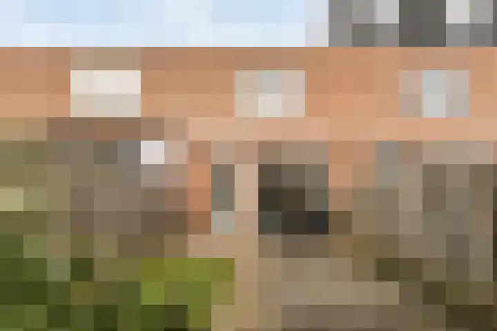 Dambordje 14 Breda thumbnail 5
